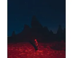 Phoebe Bridgers - Punisher (LP)