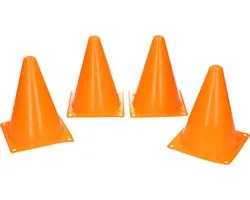 Set van 4 pionnen
