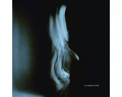 Tom Odell - A Wonderful Life (CD)