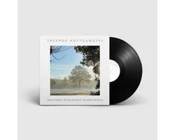 Vreemde Kostgangers - Mist (LP)