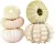 Allecto plus - Zee-egelschelp Hangende Luchtplantenpotten voor Woondecoratie, 5-pack