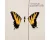 Brand New Eyes (LP)