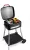 FRITEL Barbecue BBQ 3278 - Elektrische BBQ / Tafelgrill - Groot Grillopp. 40x36cm - 2000W - Afneembare plaat + Onderstel