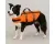 Hondenzwemvest - reddingsvest hond - honden zwemvest L A:40cm B:46-49,5cm C:80-84cm - Flamingo zwemvest Marinus - fluo oranje