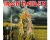 Iron Maiden