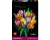 LEGO(R) Botanicals Boeket met Tulpen Bloemendecoratie - 11501