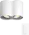 Philips Hue Pillar Opbouwspot White Ambiance - Wit - 2-spots + Dimmer