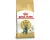 Royal Canin British Shorthair - Kattenvoer Brokjes - 2 kg