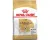 Royal Canin Chihuahua - 1.5 KG - Adult - Hondenbrokken