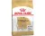 Royal Canin Chihuahua - Adult - Hondenbrokken - 3 KG