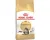 Royal Canin Maine Coon Adult - Kattenvoer - 10 kg