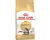 Royal Canin Maine Coon - Kattenvoer Brokjes - 4 kg