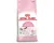 Royal Canin Mother &amp; Babycat - Kitten-Kattenvoer - 4 kg