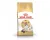 Royal Canin Ragdoll Adult - Kattenvoer - 2 kg