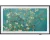 Samsung The Frame QE65LS03BGU - 65 Inch - 4K QLED - 2023
