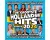 Various Artists - De Grootste Hollandse Hits Zomer 2024 (CD)