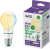 WiZ Filament - Warm tot Koelwit Licht - E27