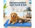 Yashika Koelmat voor Huisdieren Hond en Kat - Verkoelende Cooling Mat - Zelfkoelend Koelkussen - Gifvrije Gel - Anti-Slip - Waterdicht - Bench Mat - Koeldeken - Zonder Elektriciteit - Verkoeling - Zomer - Anti Oververhitting - Blauw - 40 x 50 cm